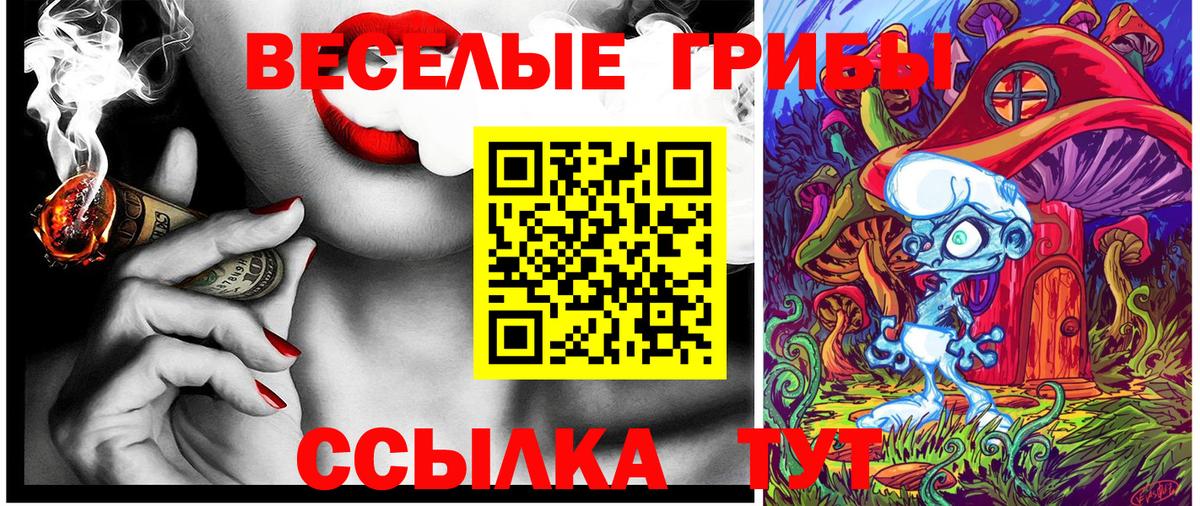 Галлюциногенные грибы MAGIC MUSHROOMS  Вход с VPN  Псилоцибиновые грибы ЛСД  Дзержинск 