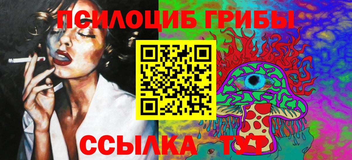 Галлюциногенные грибы Psilocybe Дзержинск